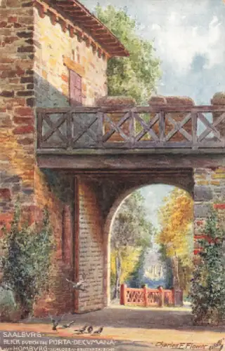 61350 Bad Homburg Saalburg Künstlerkarte Charles F. Flower Tucks Oilette * um 1910