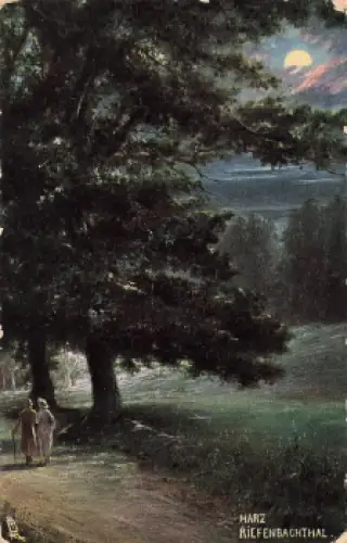 Riefenbachthal Harz Künstlerkarte Tucks Oilette o 1906 nach München Briefträgerstempel 278