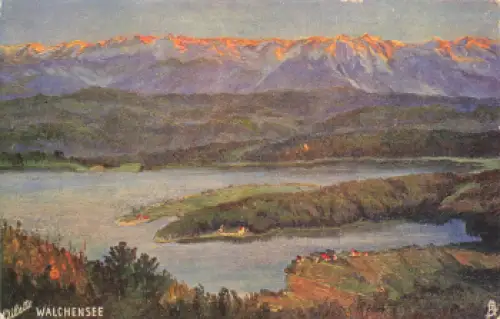 82439 Walchensee Künstlerkarte Tucks Oilette gebraucht  um 1910