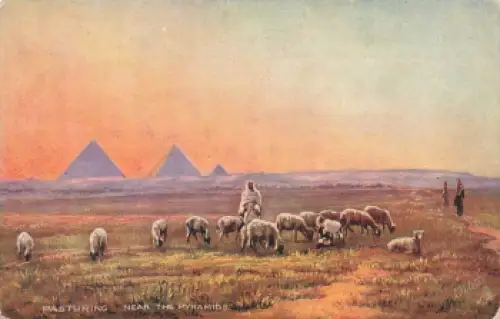 Schafherde Pasturing near the Pyramids Künstlerkarte Tucks Oilette * um 1910