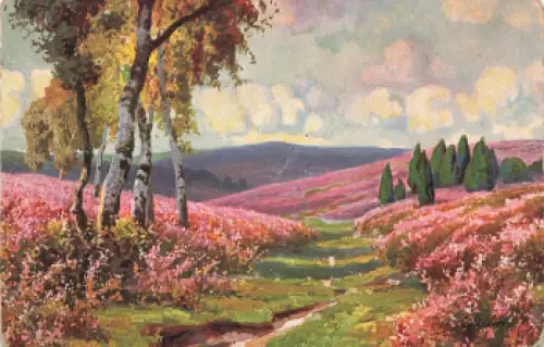 Heidelandschaften Künstlerkarte Tucks Oilette * um 1910