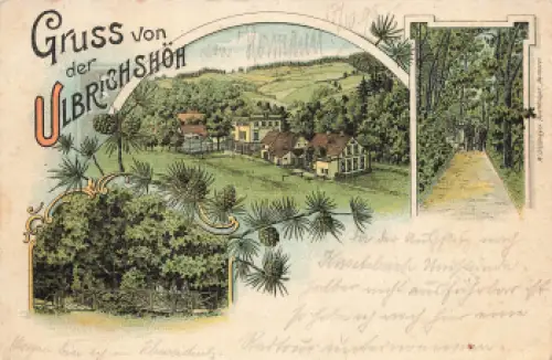 Ulbrichshöh Eulengebirge Schlesien Rościszów Litho o 1899