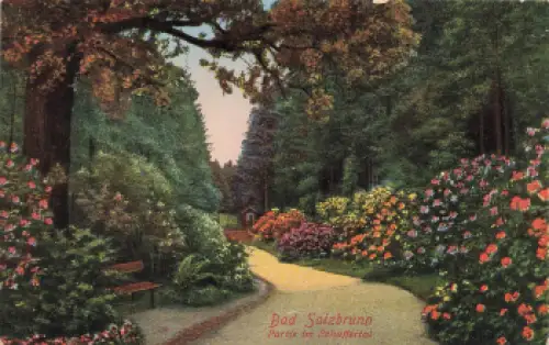 Bad Salzbrunn Schaffertal Schlesien Szczawno-Zdrój  * um 1920
