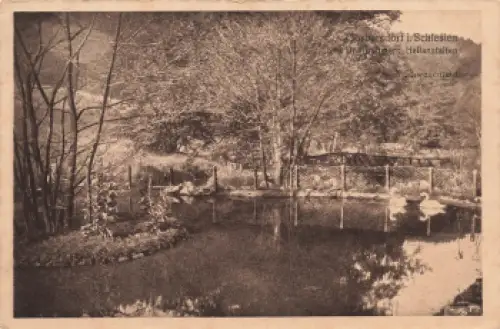 Gröbersdorf Schlesien Sokołowsko Dr. Brehmers Heilanstalt o 1914