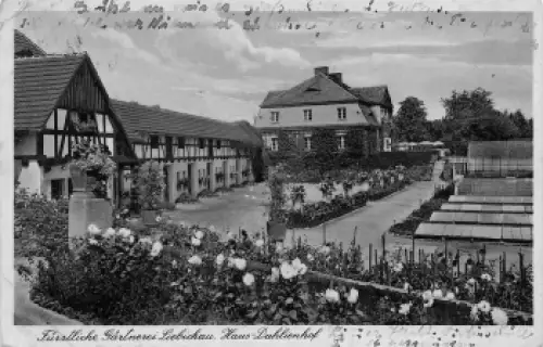 Bad Salzbrunn Gärtnerei Liebichau Dahlien Schlesien Szczawno-Zdrój o 1941