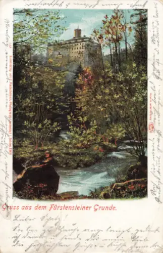 Waldenburg Fürstensteiner Grund Schlesien Wałbrzych o 1901