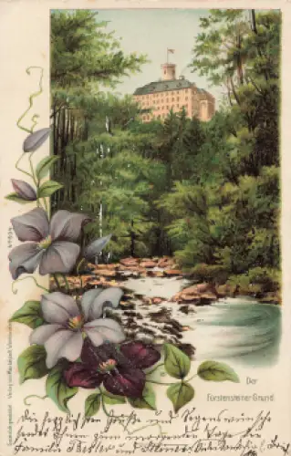 Waldenburg Fürstensteiner Grund Schlesien Wałbrzych o 1902