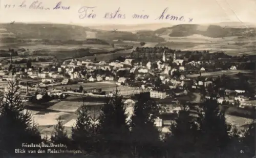 Friedland von den Fleischerbergen Schlesien Mieroszów o 1929