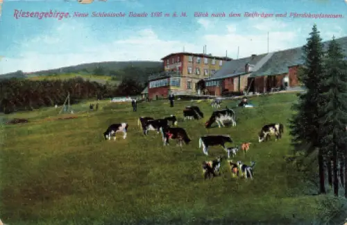 Neue schlesische Baude Riesengebirge Schlesien Schronisko na Hali Szrenickiej  * um 1910