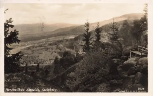 Bad Altheide Steinberg Schlesien Polanica-Zdrój o 1942