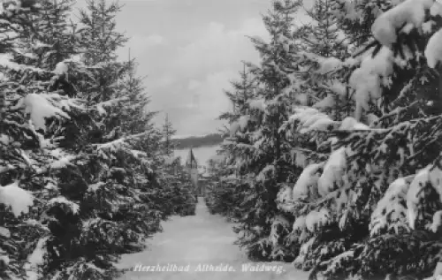 Bad Altheide Waldweg Schlesien Polanica-Zdrój o 1937