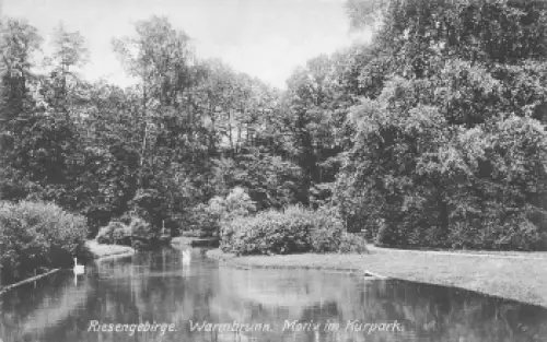 Bad Warmbrunn Kurpark Riesengebirge Schlesien Cieplice Śląskie-Zdrój * 1906