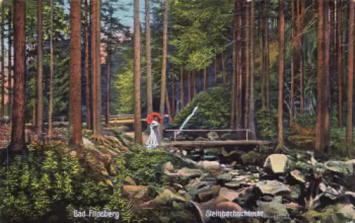 Bad Flinsberg Steinbachschlucht Isergebirge Schlesien Świeradów-Zdrój  * um 1910