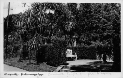 Liegnitz Palmengruppe Schlesien Legnica o 1939