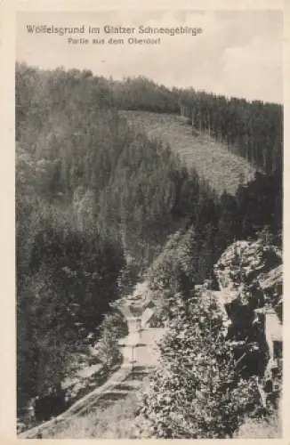 Wölfelsgrund im Glatzer Schneegebirge Schlesien * um 1920