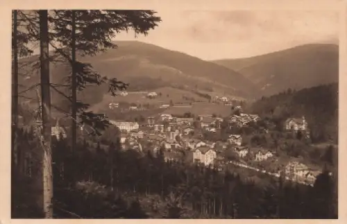 Janske Lazne Riesengebirge gebraucht 1924