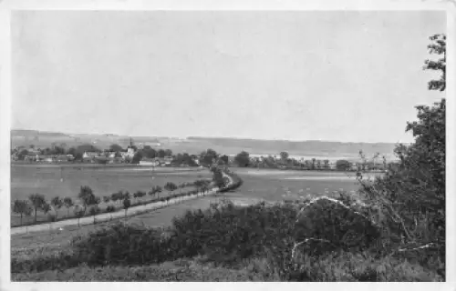 Schehun Böhmen Zehun * um 1940