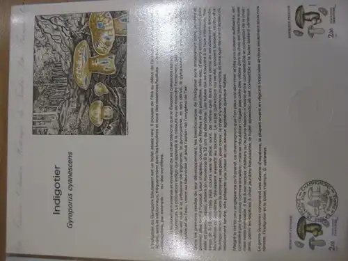 Document Philatelique Officiel - Amtliches Ersttagsblatt ETB der POST:Speisepilze