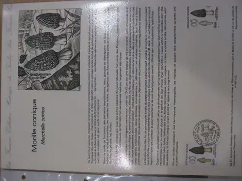 Document Philatelique Officiel - Amtliches Ersttagsblatt ETB der POST:Speisepilze