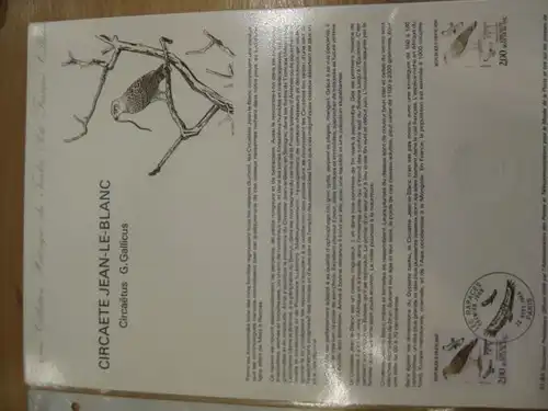Document Philatelique Officiel - Amtliches Ersttagsblatt ETB der POST:Greifvögel