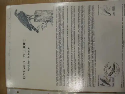 Document Philatelique Officiel - Amtliches Ersttagsblatt ETB der POST:Greifvögel