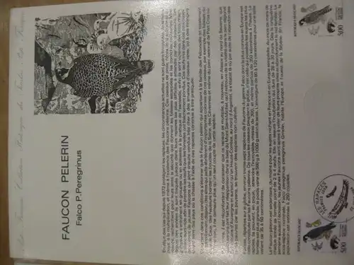 Document Philatelique Officiel - Amtliches Ersttagsblatt ETB der POST:Greifvögel