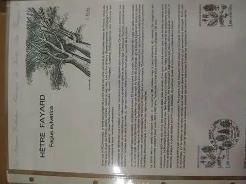 Document Philatelique Officiel - Amtliches Ersttagsblatt ETB der POST:Bäume