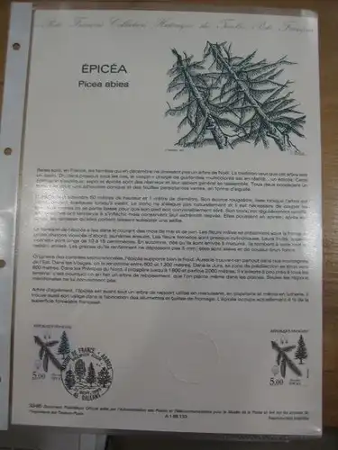 Document Philatelique Officiel - Amtliches Ersttagsblatt ETB der POST:Bäume