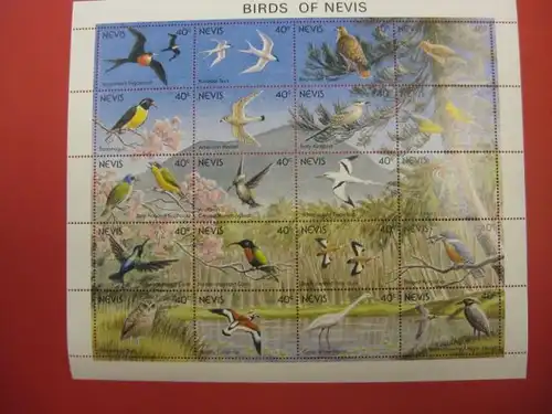 Kleinbogen Nevis Birds of Nevis