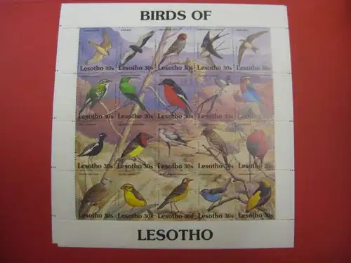 Kleinbogen Lesotho Vögel