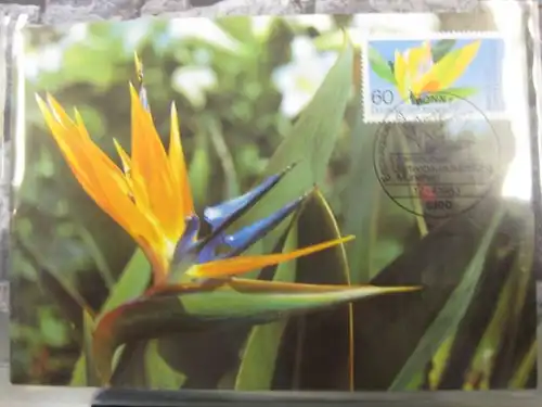 Maximumkarte Bundesrepublik Deutschland :
 Intern. Gartenbauausstellung München 1983