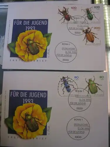 Ersttagsbrief Künstler- Ersttagsbrief FDC der Deutsche Postphilatelie: Für die Jugend 1993 Jugendmarken