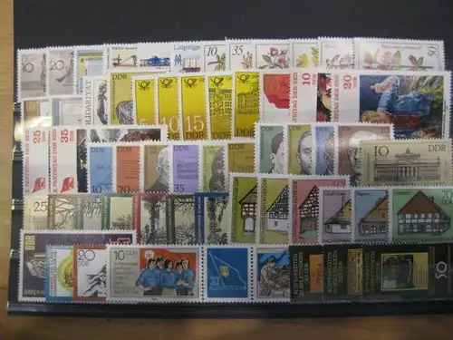 DDR Jahrgang 1981 
mit: 73 Marken, 3 Blocks, 4 Zusammendrucke und 1 Kleinbogen, postfrisch, ** mit ausschließlich kompletten Sätzen