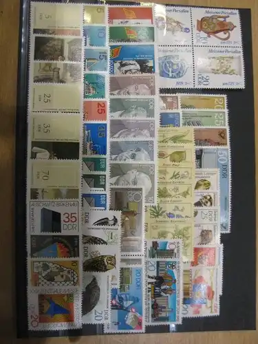 DDR Jahrgang 1982 
mit: 69 Marken, 4 Blocks, 5 Zusammendrucke und 2 Kleinbogen, postfrisch, ** mit ausschließlich kompletten Sätzen