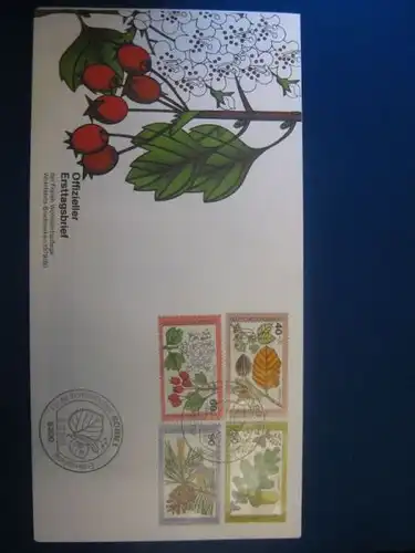 Offizieller Ersttagsbrief FDC der Wohlfahrtspflege 1979, Wohlfahrtsmarken Bund 1979