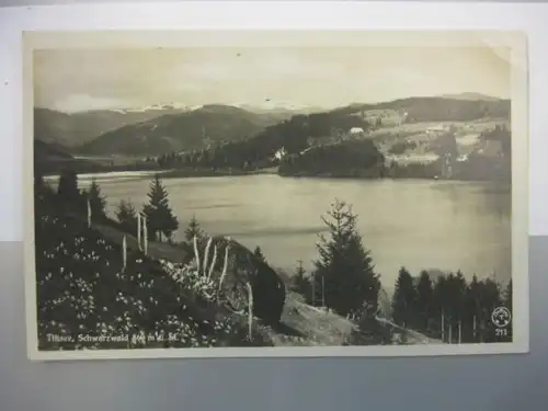 Titisee, Schwarzwald