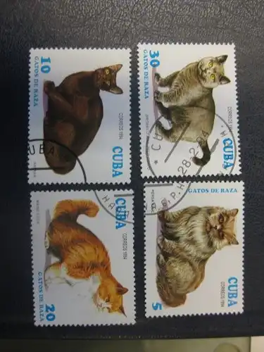 Katzen, 4 Werte, Cuba