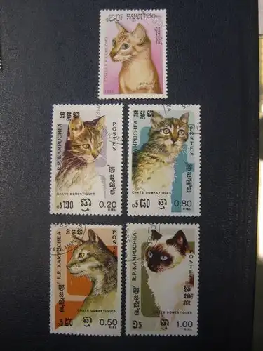 Katzen, 5 Werte, Kampuchea