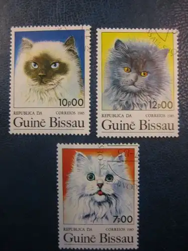 Katzen, 3 Werte, Guinea-Bissau