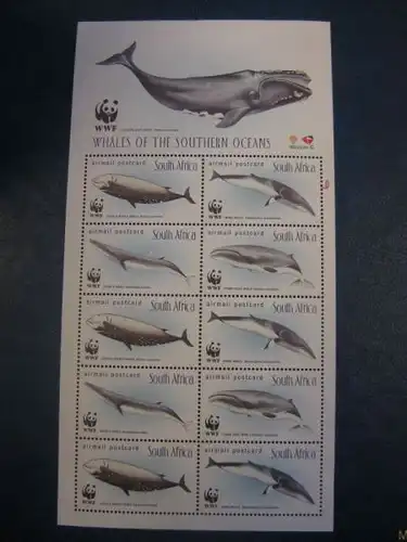 Wale, WWF, RSA, Südfafrika, Kleinbogen