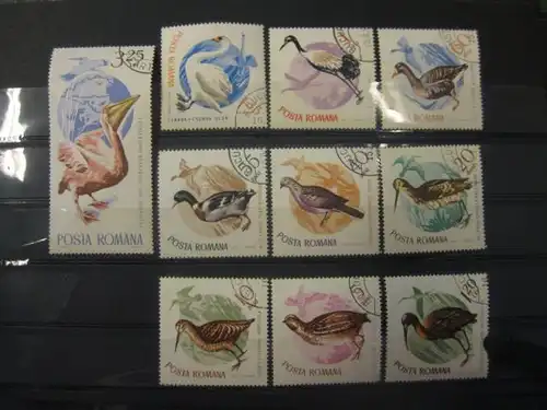 Vögel, Rumänien