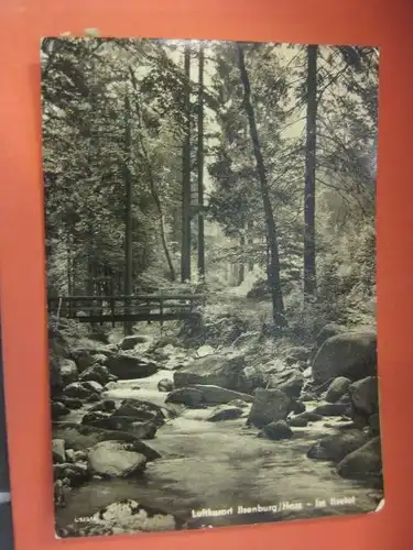 Ilsenburg im Harz