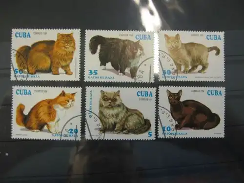 Katzen, Cuba, 6 Werte