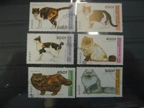 Katzen, Guinea, 6 Werte