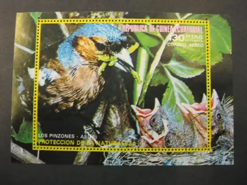 Vögel, Block, Äquatorial Guinea