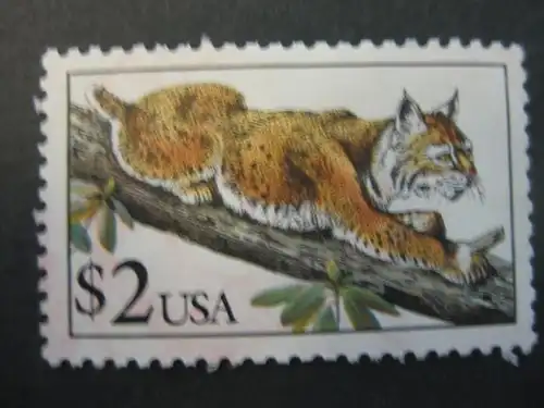 Luchs, 1 Wert, USA