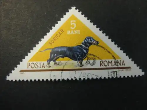Tiere, Hund, Rumänien, 1 Wert