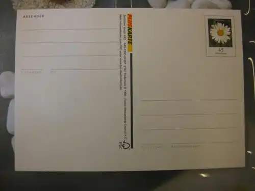 Sonderpostkarte PSo Wertstempel Blumen Margerite