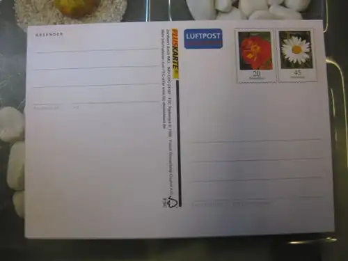 Sonderpostkarte Pluskarte; Luftpost mit 2 Wertstempeln Tagetes und Margerite