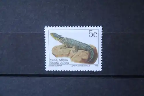 Südafrika; 1993, Reptil, Echse